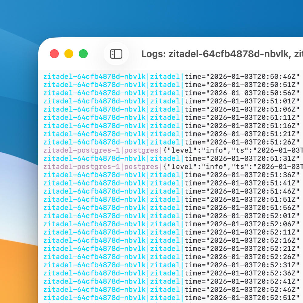 A macOS window showing Kubernetes logs