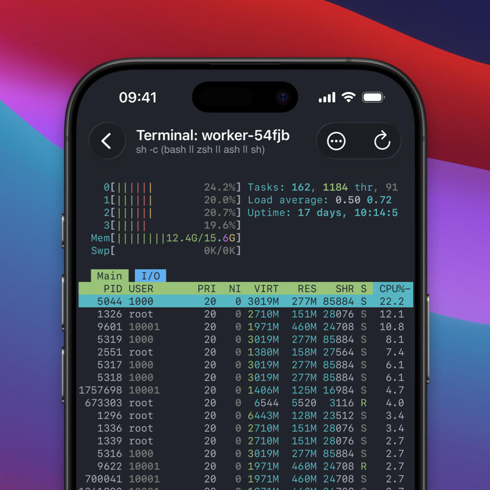 An iPhone showing a terminal that is attached to a TTY inside a pod