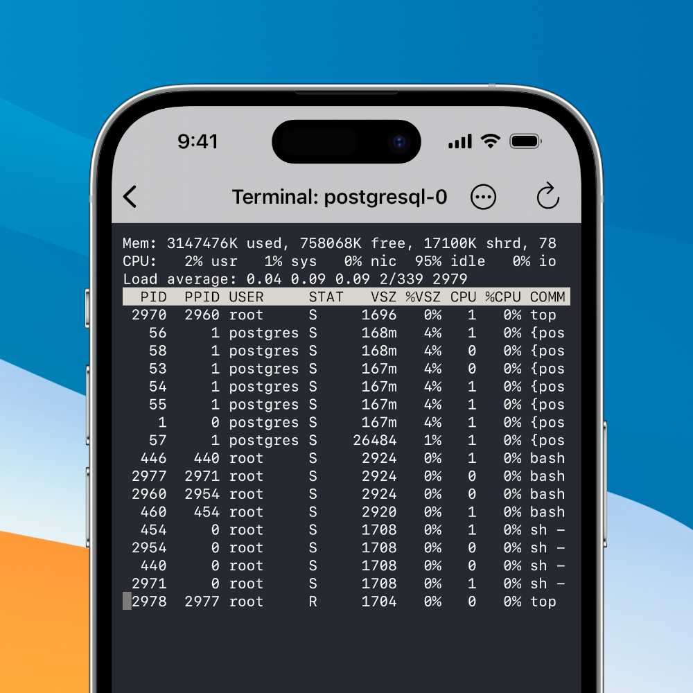 An iPhone showing a terminal that is attached to a TTY inside a pod