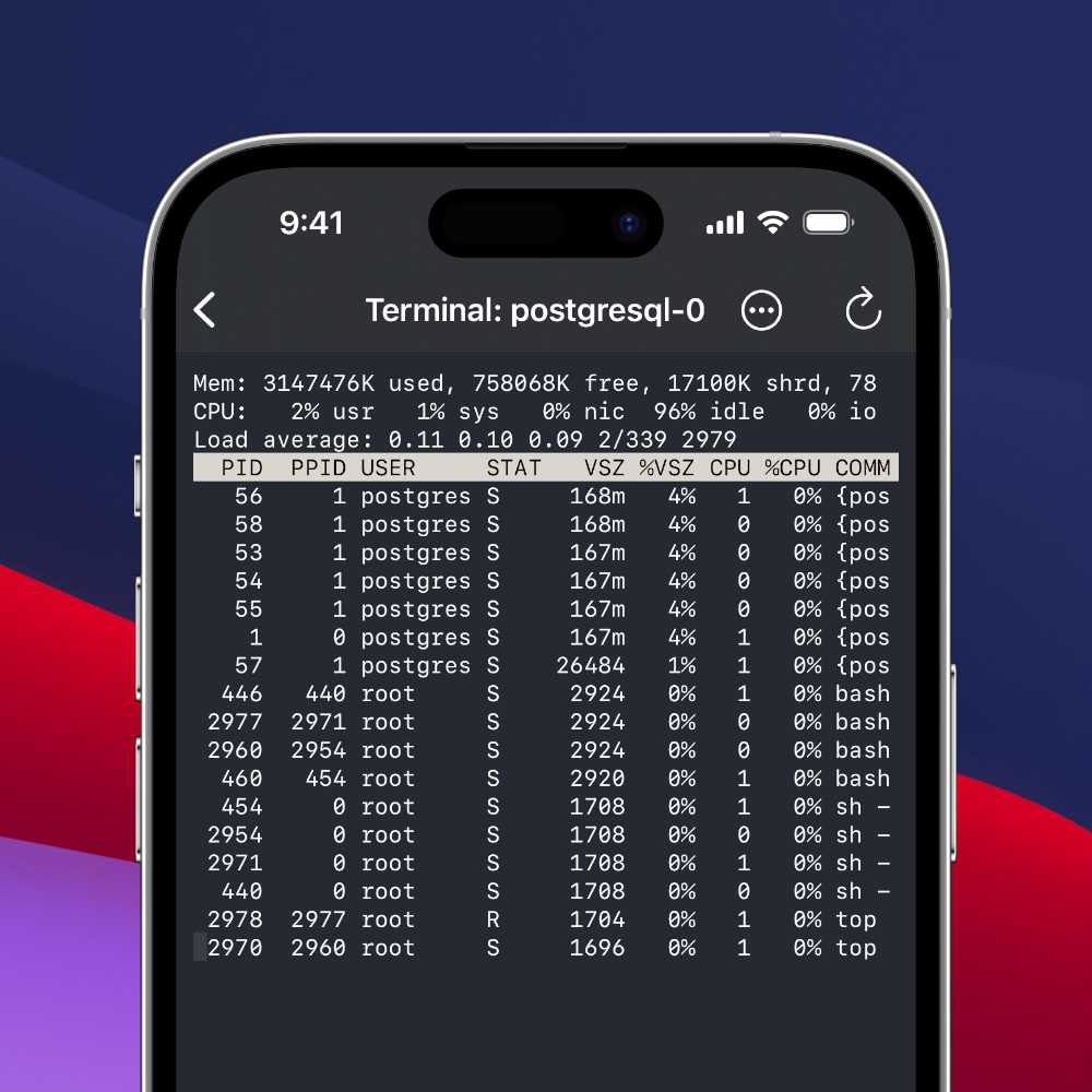 An iPhone showing a terminal that is attached to a TTY inside a pod